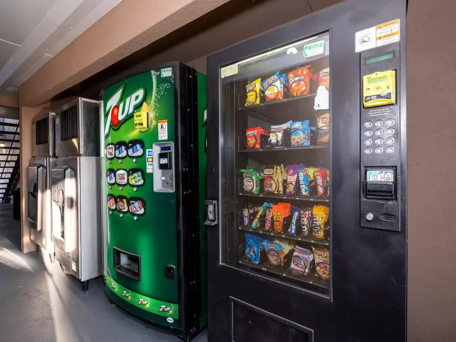 Bayou Bend Collection and Gardens